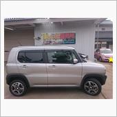 シーズン開始(*^^*)