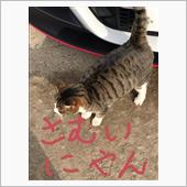 初冬のオフ