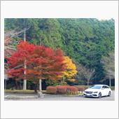 CLA-SB慣らしドライブ７ ...