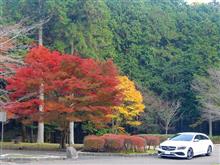 CLA-SB慣らしドライブ７：紅葉求めて４年ぶりの紅葉ロードR427へ＾＾