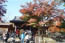 秋の修善寺で真っ赤なもみじを見てきた