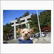 紅葉の小国神社へ