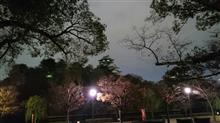 観光ができない出張は出張にあらず! 観光ができない出張は出張にあらず!