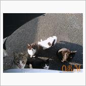 覗き見｡｡｡(^◇^;)