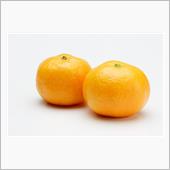 伊豆伊東へ往復