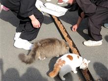 最終目標は『目指せ！-33kg』（810回目）