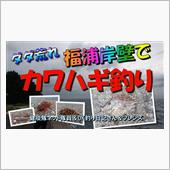 カワハギ釣り「ダダ荒れ福浦岸 ...