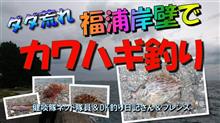 カワハギ釣り「ダダ荒れ福浦岸壁釣行！健啖隊ネット隊員＆DK釣り日記さん＆フレンズ」(y.katsu) 