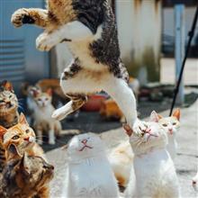 轢かれギャｱｧｧｧｧ━━━━━━(|||ﾟДﾟ)━━━━━━!!!!!! 
