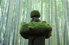 「Bamboo Temple」-幽玄な緑の世界-