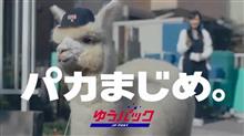 「パカまじめ。」主演は松ちゃんではなく、可愛いすぎるあの動物♪ 「パカまじめ。」主演は松ちゃんではなく、可愛いすぎるあの動物♪