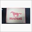 ついに「MUSTANG」買いました！