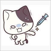 今年も