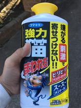 金曜日お早うございます
