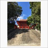 盆と正月と何かが一緒に来た
