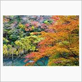 　平等院から嵐山　　ー心で感 ...