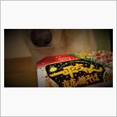 ≪ショートブログ≫ 一平ちゃ ...