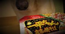 ≪ショートブログ≫ 一平ちゃん・・・☆