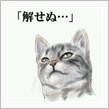 解せぬ…