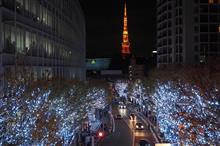 イルミネーション巡り（六本木・表参道・渋谷・新宿）
