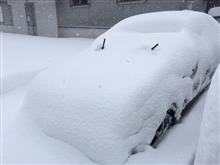 どか雪