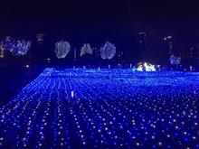 東京 Xmas イルミネーションツアー『West Side Area』