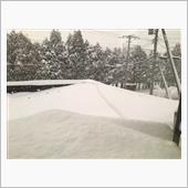 ドカ雪！ゲリラ豪雪！６５cm ...