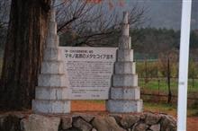 メタセコイア並木　秋ver.
