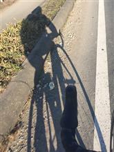 冬の洗車のタイミング