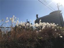 おはようございます☀