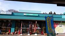 今日のランチは・・・・