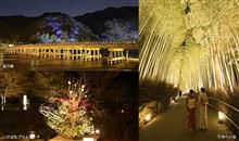 京都嵐山・花灯籠…。 京都嵐山・花灯籠…。