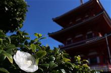 平戸散策☆彡 平戸散策☆彡