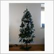 クリスマスモード(1)