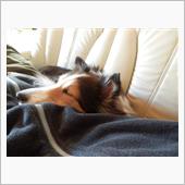 寝過ぎて眠い・・