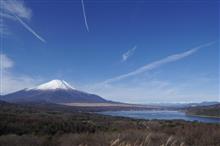 帰りました。