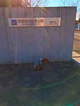 昭和記念公園