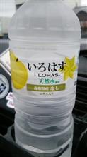 ヤキーン二日目終了～