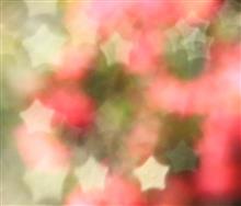 「☆ボケ」完成・・・が　活かせず！