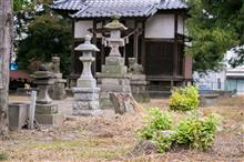 長良神社の銀杏が切られる