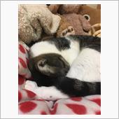 あったかぁぁくなぁれ