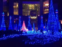 東京Xmas イルミネーション ツアー『Central Area』 東京Xmas イルミネーション ツアー『Central Area』