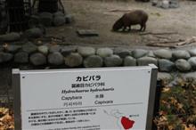 東山動物園