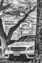 久しぶりにC63AMG撮影会（B面 Monochrome Ver.）