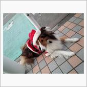 今日はずーっと動いてたよ。