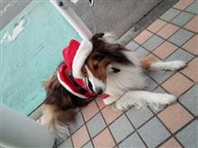 今日はずーっと動いてたよ。