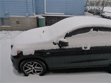 粉雪積もっています