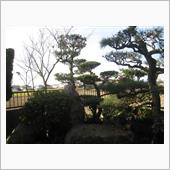 新しい年を迎える準備&amp;息子が ...