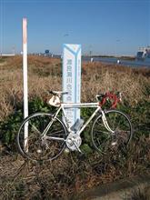 今日もいい天気っだ・・・・。