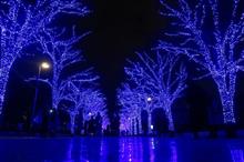 （墨田区・渋谷区・港区）12/10　都心イルミネーションめぐり